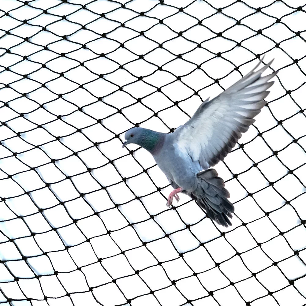 Anti Vogel Netz