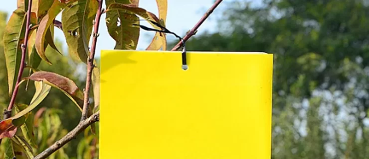 Landwirtschaft & Landwirtschaft